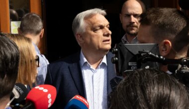 Németh-Halász Nikolett