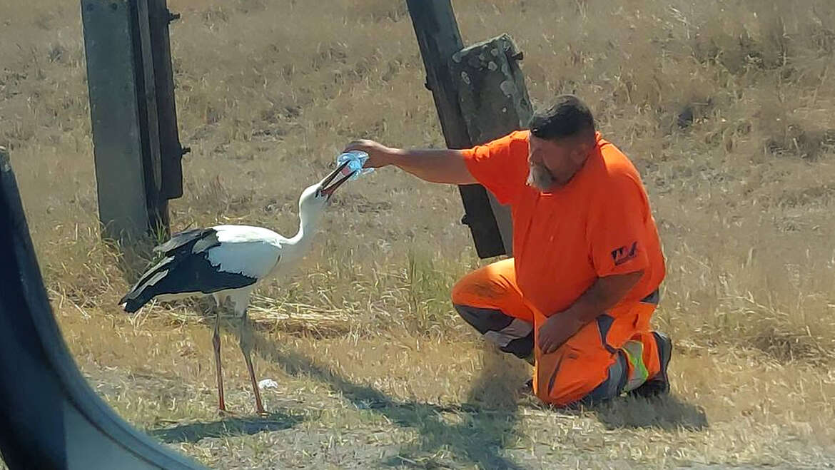 „Én csak megitattam egy gólyát” – Billog Lacin keresztül fontos üzenetet küldött a tiszakécskei gólyasuttogó