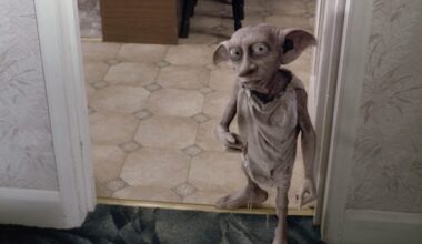 Élet+Stílus: Harry Potter-rajongók miatt kellett áthelyezni egy tenger alatti kábelt, hogy megóvják Dobby sírját