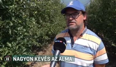 Kevés az alma, és tavasszal még drágulhat is