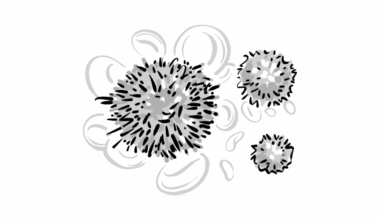 Asciminib Offers New Approach to Chronic Phase CML Treatment
