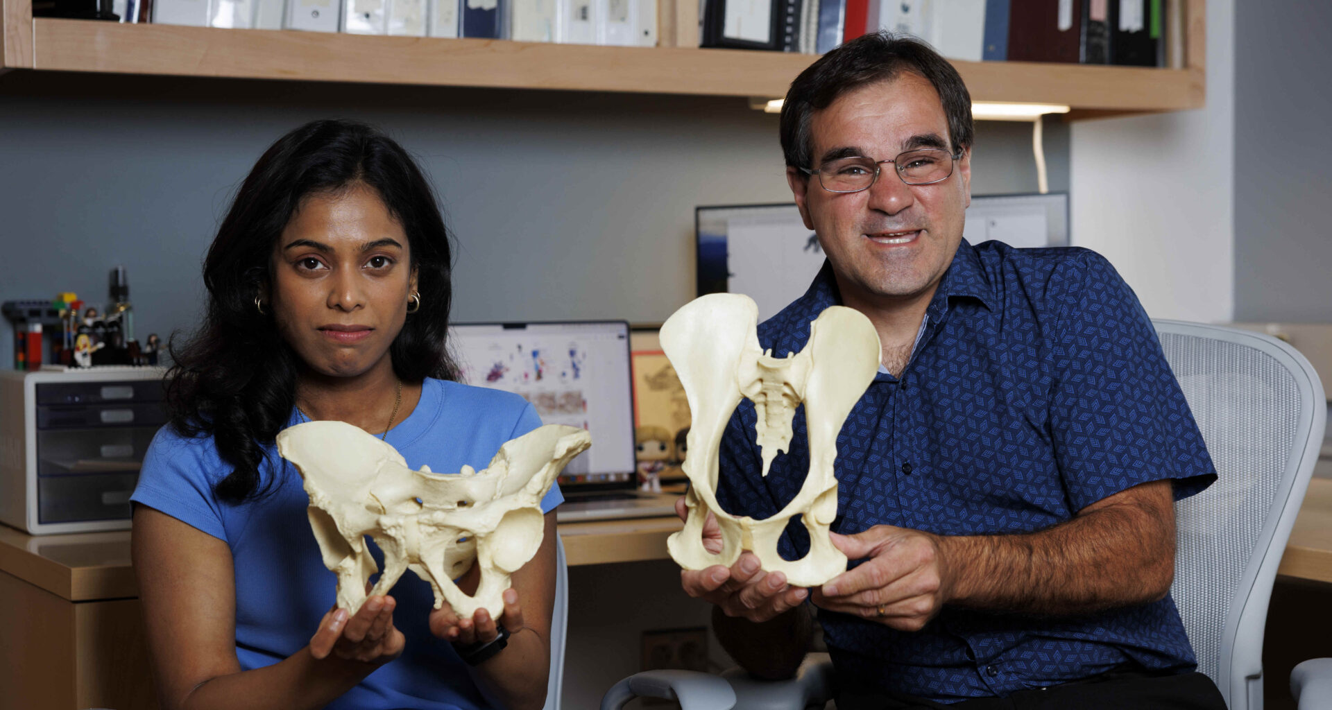 Gayani Senevirathne and Terence Capellini holding models of pelvises.