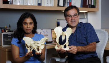 Gayani Senevirathne and Terence Capellini holding models of pelvises.