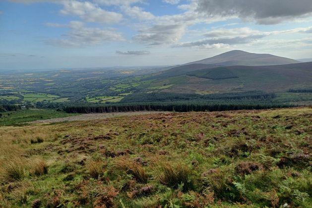 Wild, untamed mountains of Wexford primed for National Park status – ‘The tourists we get from Europe, this is what they want’