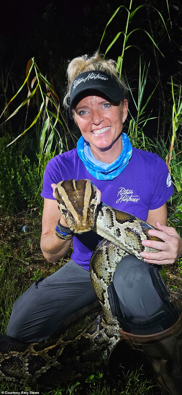 Amy Siewe is a real life Indiana Jones heading out on python hunts at night