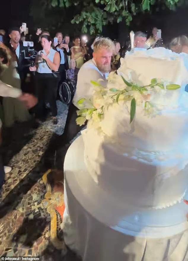 Also during the outdoor reception, Logan's brother Jake was filmed punching the wedding cake which he uploaded to his Instagram page