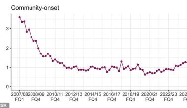 Rates of the superbug have been steadily increasing in the last decade following a large fall in cases between 2008 and 2012