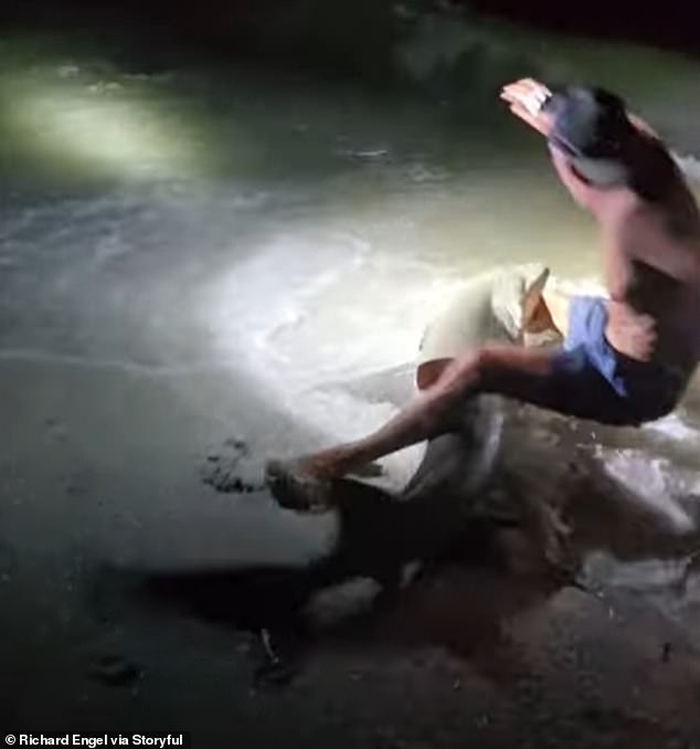 The shark thrashed around in the incoming waves. Emergency crews responded to the scene and Meuse was airlifted to Gulf Coast Medical Center