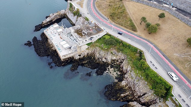 An aerial picture shows the large section of Japanese knotweed that has taken over Hoe waterfront