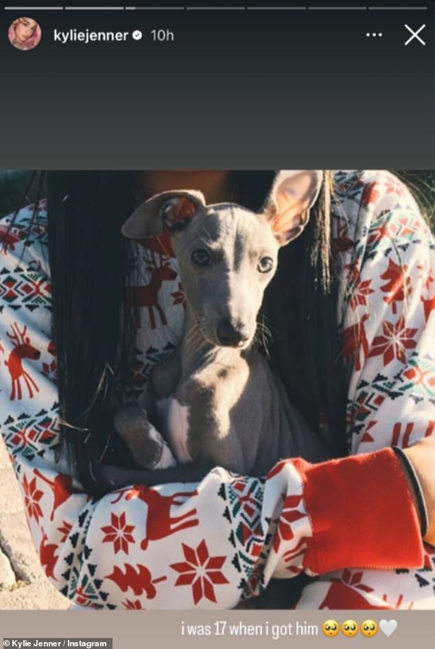 One post showed a much younger Kylie cradling the grey pup in her arms while wearing Christmas pajamas