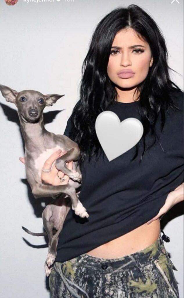 Kylie Jenner has shared a heartfelt update about her longtime furry companion, Norman