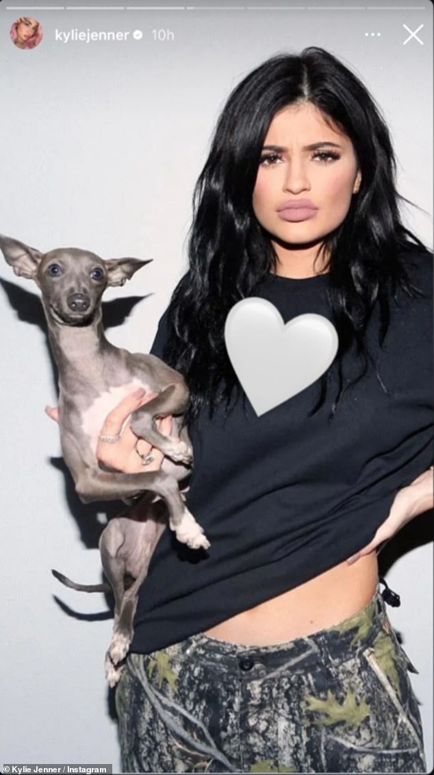 Kylie Jenner has shared a heartfelt update about her longtime furry companion, Norman