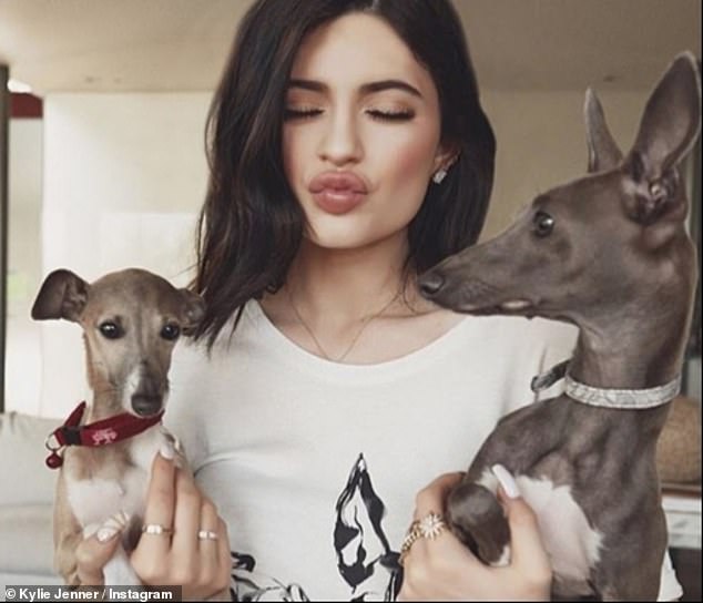 The Keeping Up with the Kardashians alum first introduced Norman to fans back in 2014, when she revealed she had brought home the tiny puppy as a teen