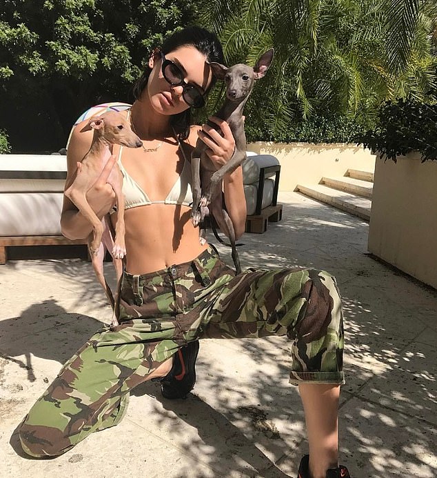 Over the years, Norman has been one of Kylie's most cherished pets; seen with Kylie's sister Kendall Jenner