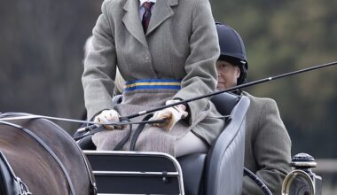 Lady Louise Windsor (pictured) has shown off her riding prowess at a national competition after inheriting her love of horses from her late grandmother, the Queen