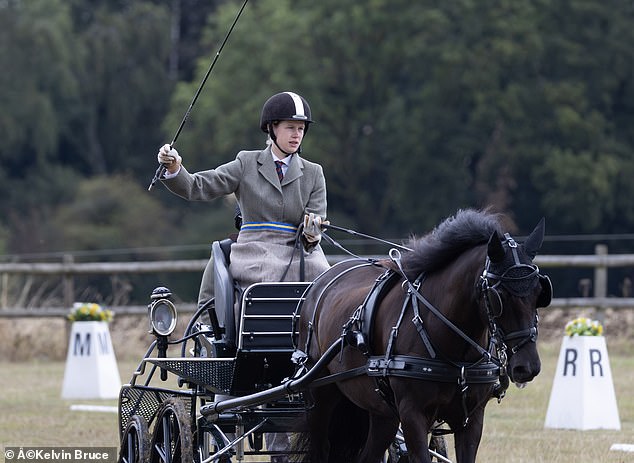 She looked assured in the driver's seat of her four-wheel carriage, completely focused as she raised her whip (pictured) on the first day of the prestigious three-day contest