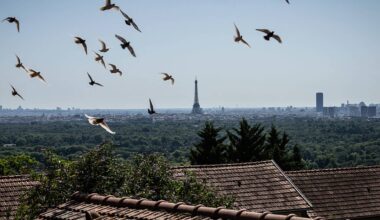 European markets open to close: Fed-Trump, French politics