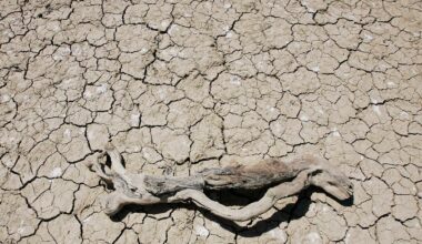 How flash droughts driven by climate change sparked record wildfires in Spain