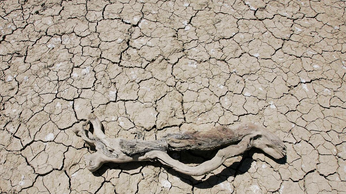 How flash droughts driven by climate change sparked record wildfires in Spain