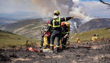 No, Spain’s wildfires were not started on purpose to clear land for construction projects