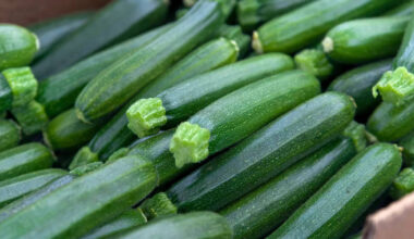 5 nutrient-packed foods to pair with zucchini