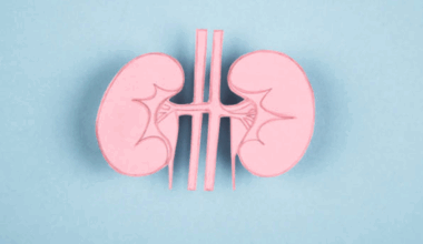 Doctor shares how to protect your kidneys before it’s too late