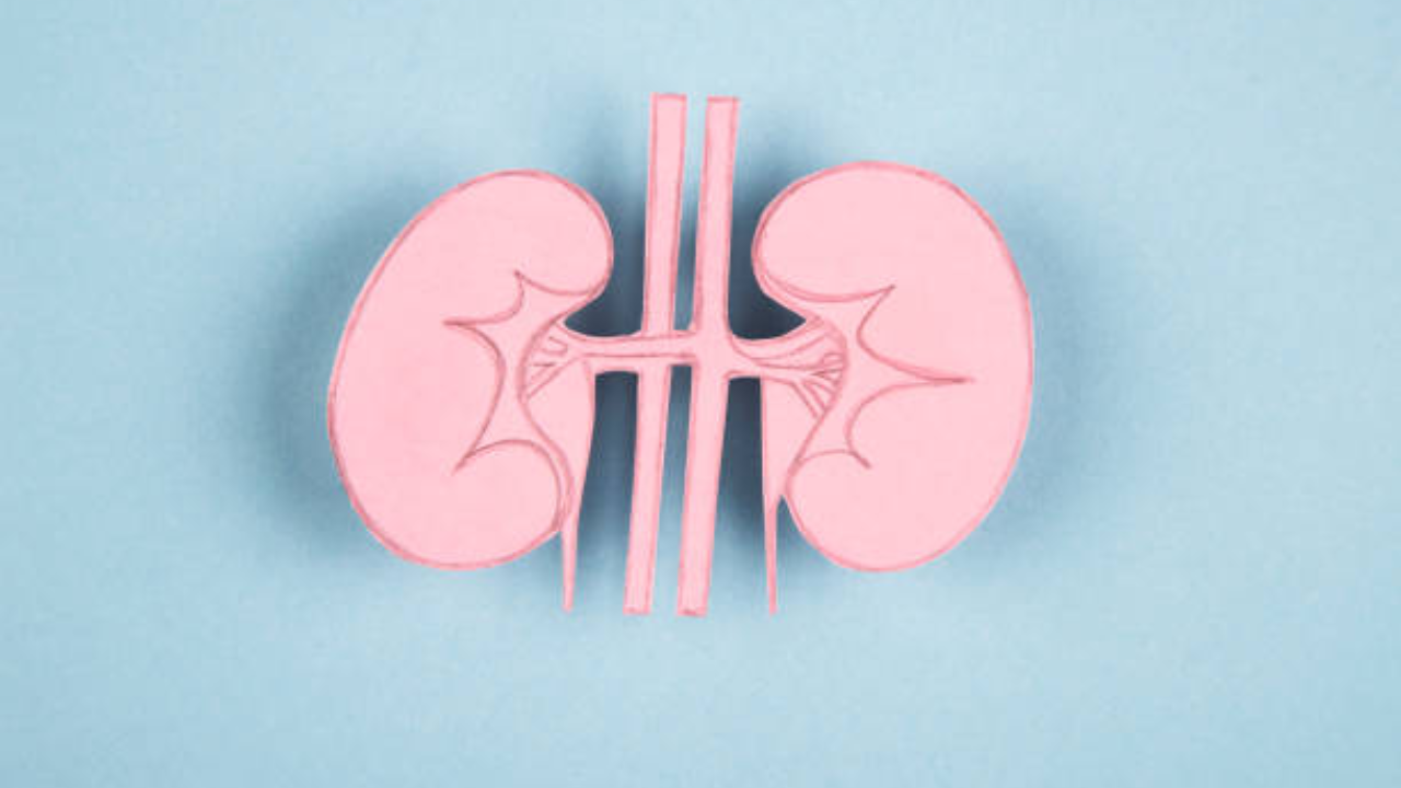 Doctor shares how to protect your kidneys before it’s too late