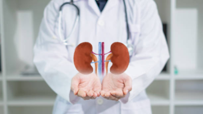 Kidneys and creatine: How to make sure the supplement doesn't backfire on kidney health