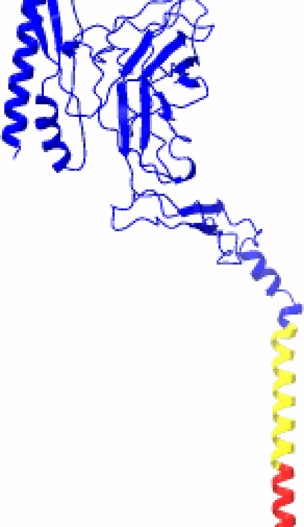 Targeting invasion-associated proteins PfSUB2 and PfTRAMP in Plasmodium falciparum: identification of potential inhibitors via molecular docking | BMC Infectious Diseases