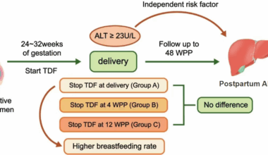 Impact of stopping Tenofovir disoproxil fumarate at various times on elevated postpartum ALT levels and breastfeeding in pregnant women with chronic hepatitis B: a prospective observational cohort study | BMC Pregnancy and Childbirth