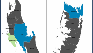 Occupations at high risk for malaria in Zanzibar: a case–control study, may–august 2023 | Malaria Journal