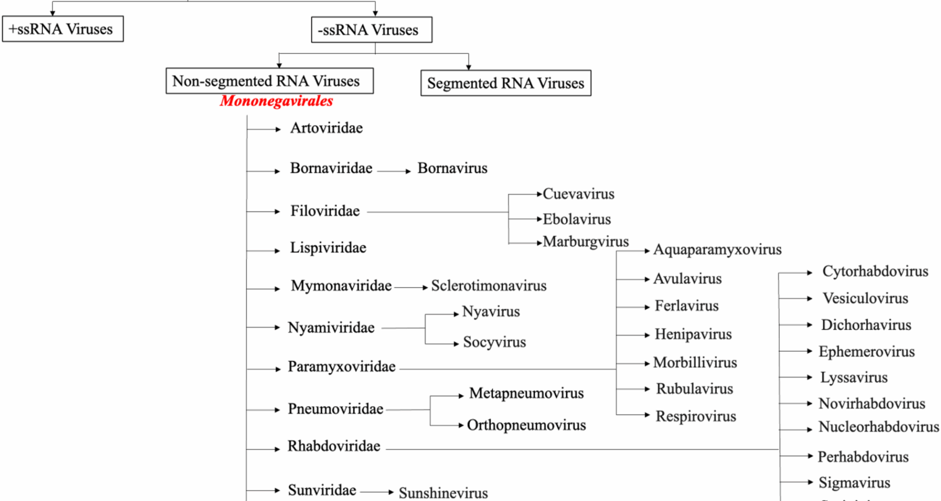 Participation of host cell proteins in inclusion bodies of non-segmented RNA virus infected cells: a molecular insight | Virology Journal
