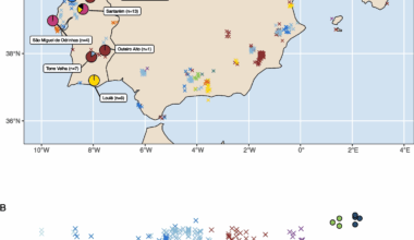 The genetic history of Portugal over the past 5,000 years | Genome Biology