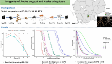 Impact of temperature on survival, development and longevity of Aedes aegypti and Aedes albopictus (Diptera: Culicidae) in Phnom Penh, Cambodia | Parasites & Vectors