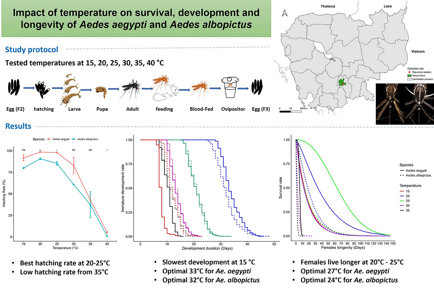 Impact of temperature on survival, development and longevity of Aedes aegypti and Aedes albopictus (Diptera: Culicidae) in Phnom Penh, Cambodia | Parasites & Vectors