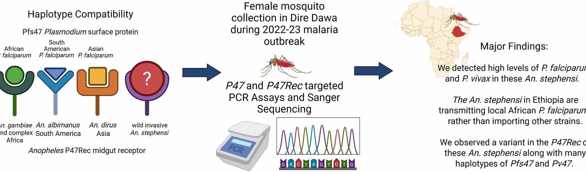 Genetic surveillance of Plasmodium–Anopheles compatibility markers during Anopheles stephensi associated malaria outbreak | Parasites & Vectors