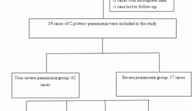 Clinical characteristics of Chlamydia psittaci pneumonia: a single-center, retrospective study over 5 years | BMC Infectious Diseases