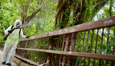 HK logs 9 chikungunya cases so far this year, all imported