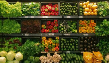The Price of Vegetables Rose in July 2025 — Here's Why