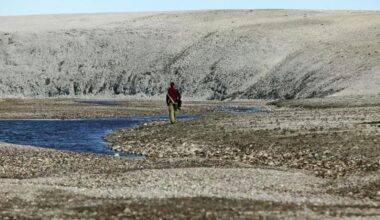 Ancient proteins could transform palaeontology