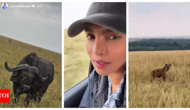 Priyanka Chopra touches down in Nairobi for SSMB 29 with Mahesh Babu and SS Rajamouli; shares videos from her safari - WATCH |