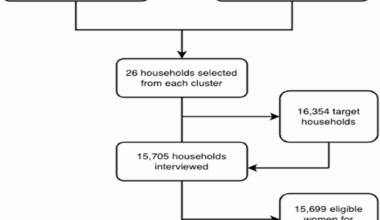 The Effect of Women’s Empowerment on Unmet Needs for Family Planning in Tanzania: Analysis of 2022 Tanzania Demographic and Health Survey (TDHS) | BMC Public Health