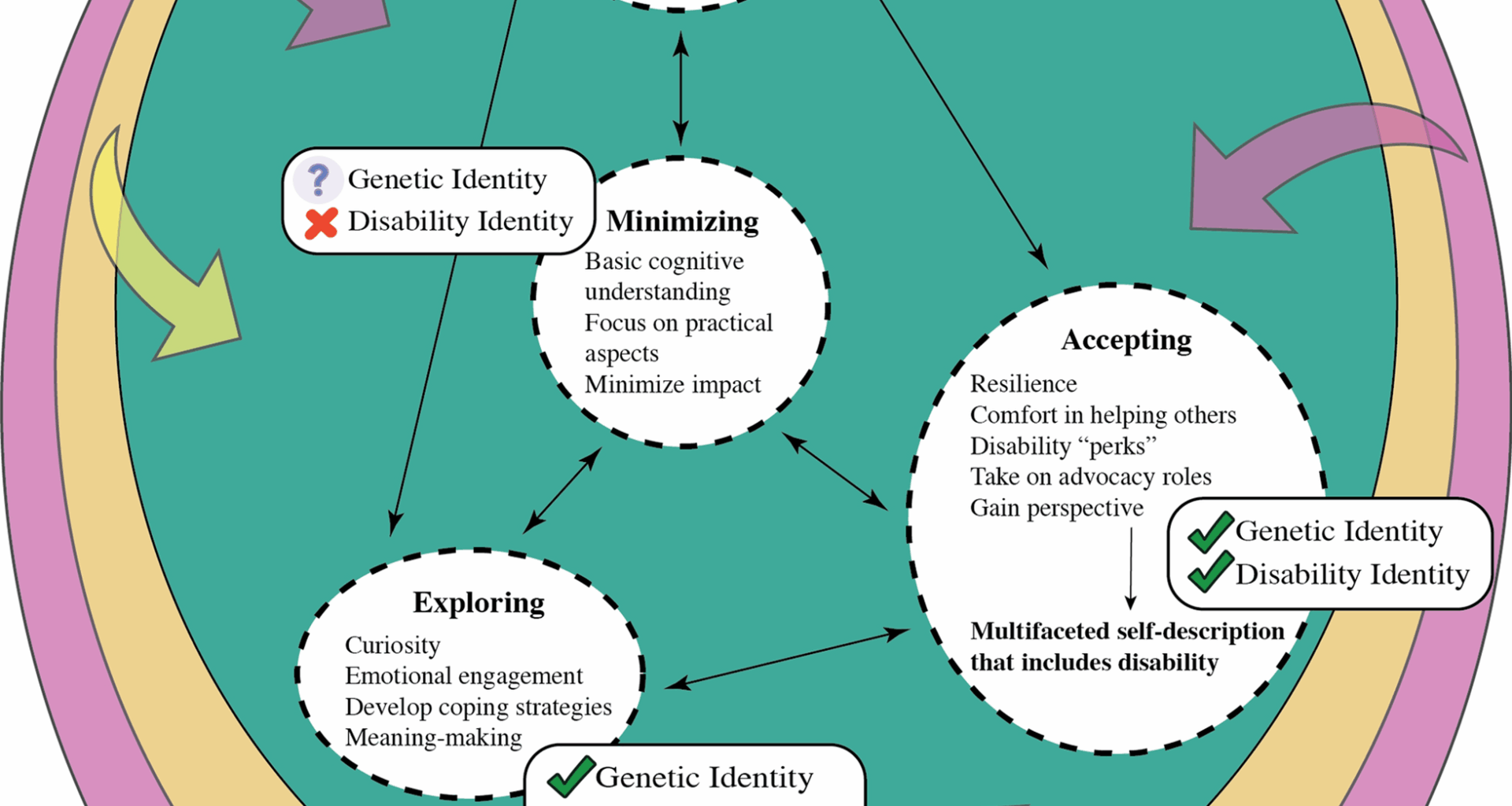 Identity development and adaptation in adolescents with genetic conditions: a qualitatively oriented mixed-methods study to develop strategies for optimizing clinical genetics services | Orphanet Journal of Rare Diseases