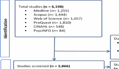 Health system responsiveness for maternal healthcare services in East Africa: a mixed-methods systematic review | BMC Pregnancy and Childbirth