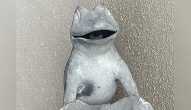 Woman Arriving Home From Work Notices Something Off About Her Frog Statue