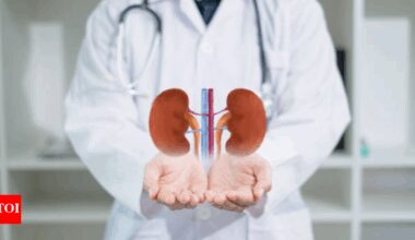 Kidneys and creatine: How to make sure the supplement doesn't backfire on kidney health |