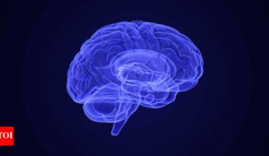 Vitamin Bs and brain health: The 8-in-1 vitamin brain booster you didn't know you needed |