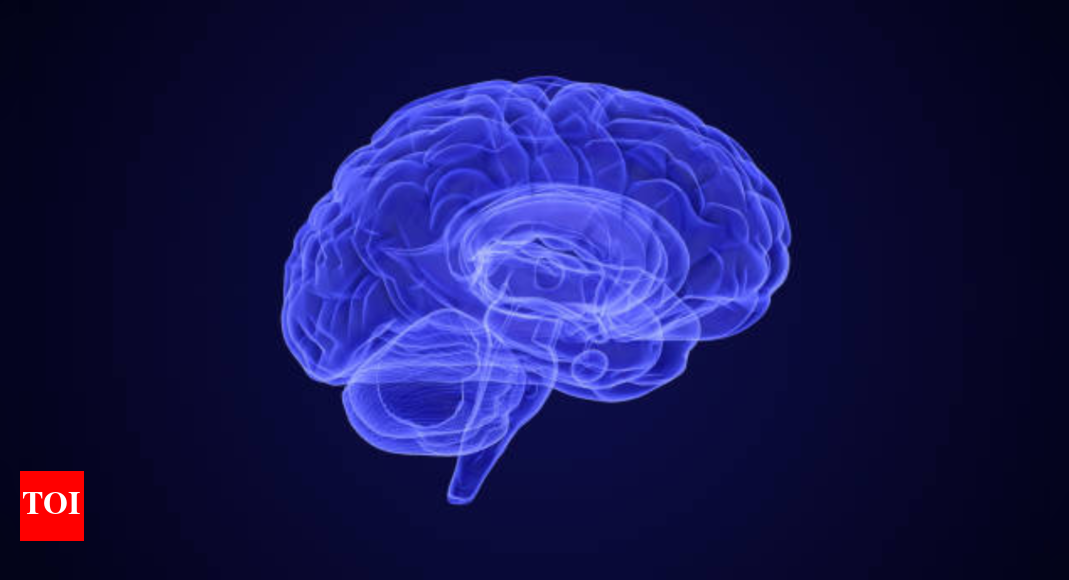 Vitamin Bs and brain health: The 8-in-1 vitamin brain booster you didn't know you needed |