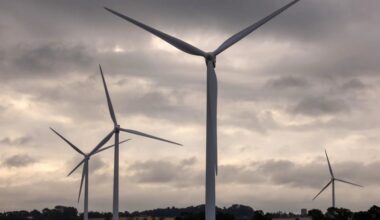 UK wind farm paid to dump half its power output
