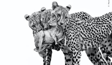 First Batch of Stunning Images Revealed